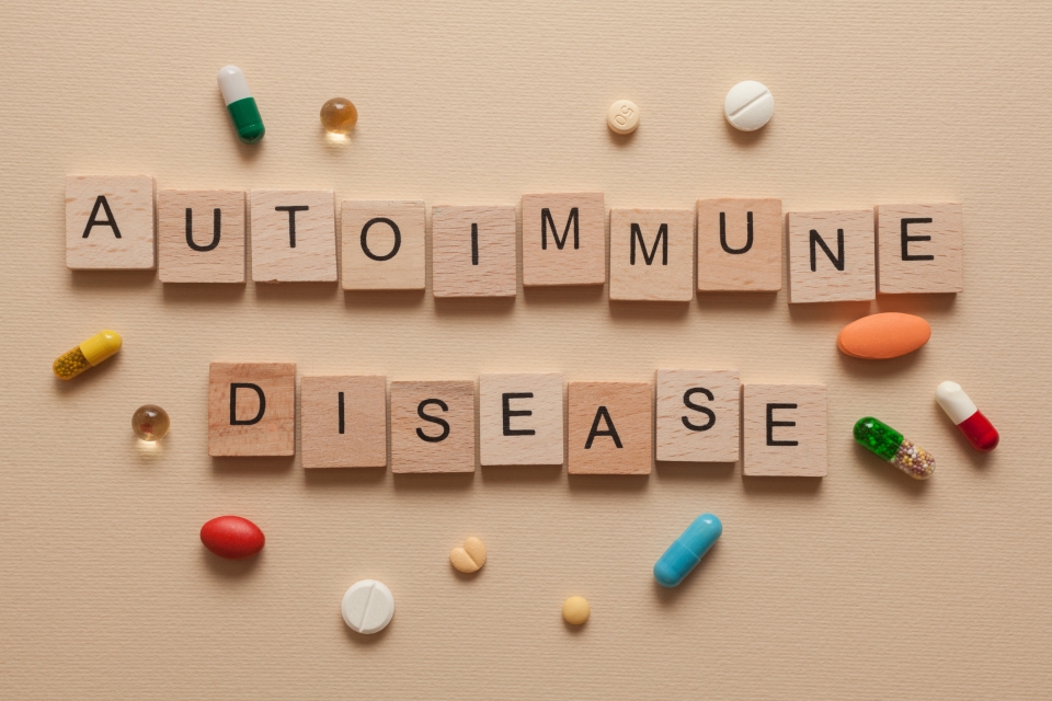 auto-immune diseases in bolds