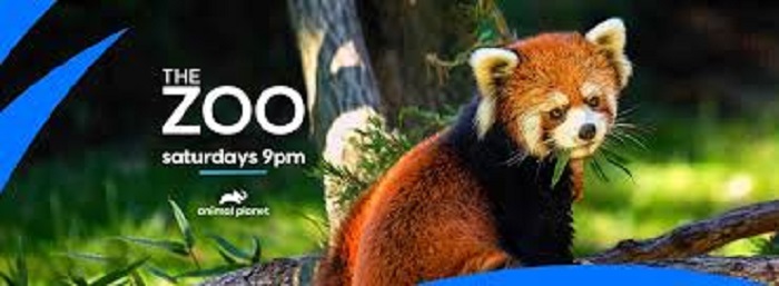 Animal Planet Announces A New Documentary “The Zoo: COVID-19 And Animals |  HealthWire