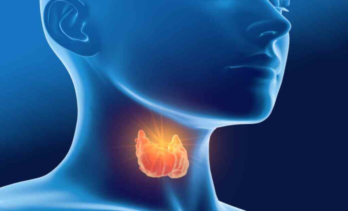 Thyroid patients face muscle weakness, low activity, and irregular menstrual cycles.