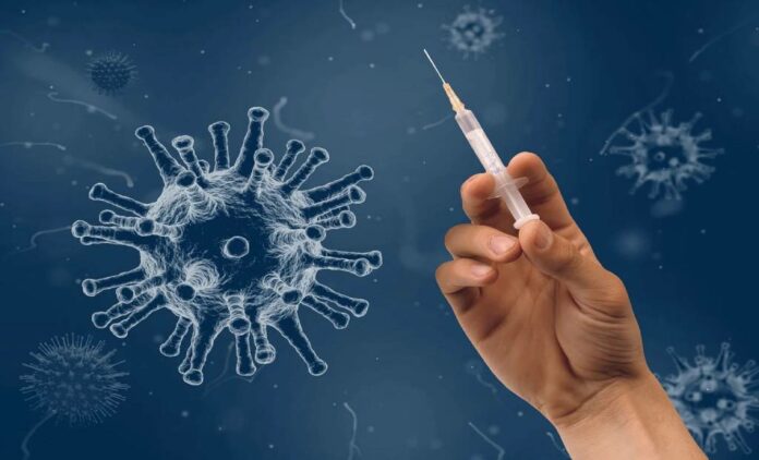 The latest study, published recently in the journal Viruses, assessed vaccinated mice sera (blood samples) for efficacy against key coronavirus variants, including Delta and Omicron.