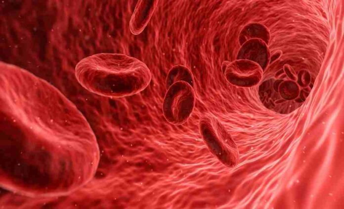 Haemophilia is condition that prevents blood from clotting.