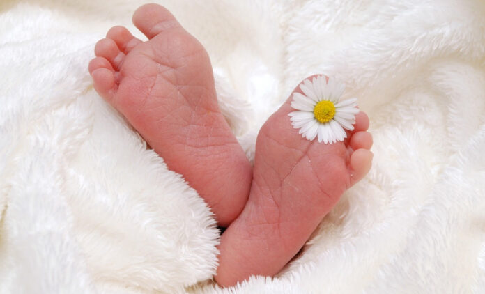 As part of the research, the joint movements of 12 healthy newborns were recorded.
