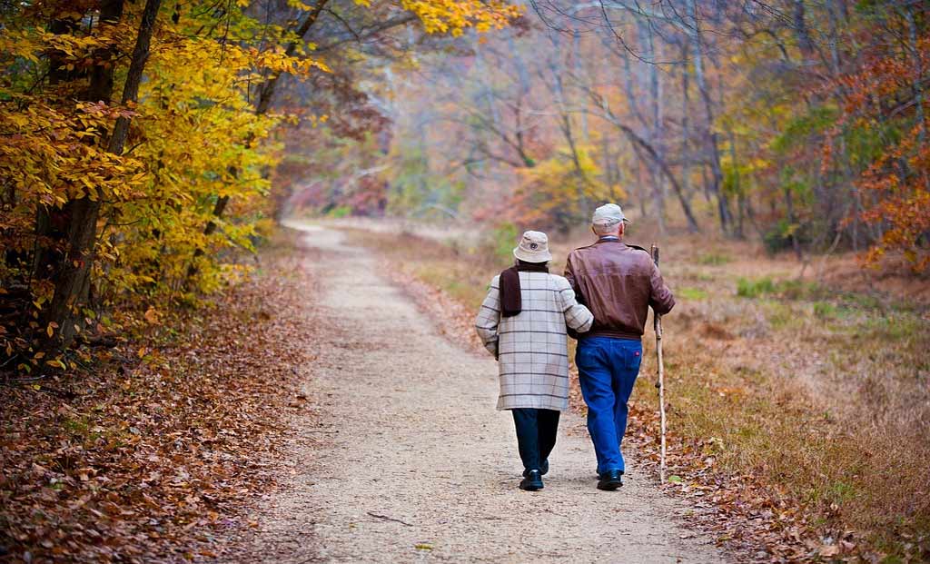 Study Finds Walking 6,000 to 9,000 Steps Daily Can Slash Cardiovascular Disease Risk in Older Adults by 50%