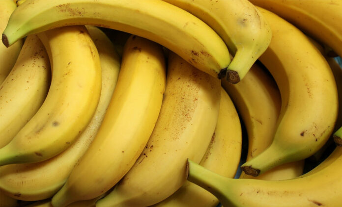 There are more than 1000 varieties of bananas.