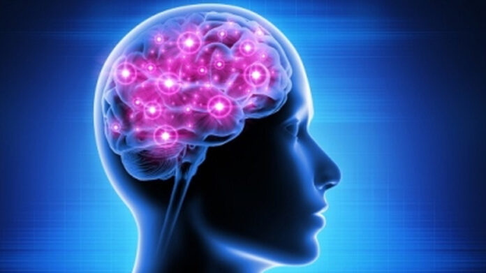 Balanced diet, regular exercise, and enough sleep improve overall brain health and ease the risk of brain tumors.