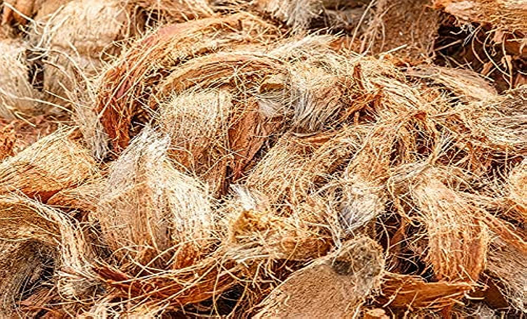 Previous studies have explored diverse methods for converting coconut coir waste's lignocellulosic biomass into valuable aromatic compounds