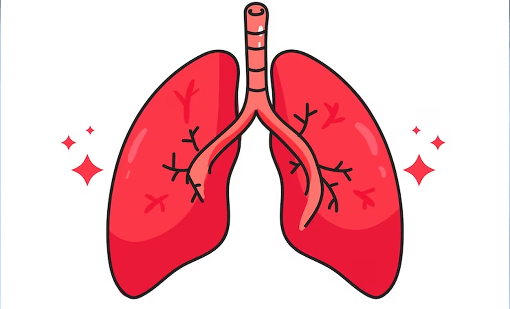 Physical activity helps to improve lung capacity and overall respiratory function.